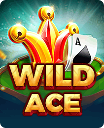 Wild Ace — Slots game on the Paglu app
