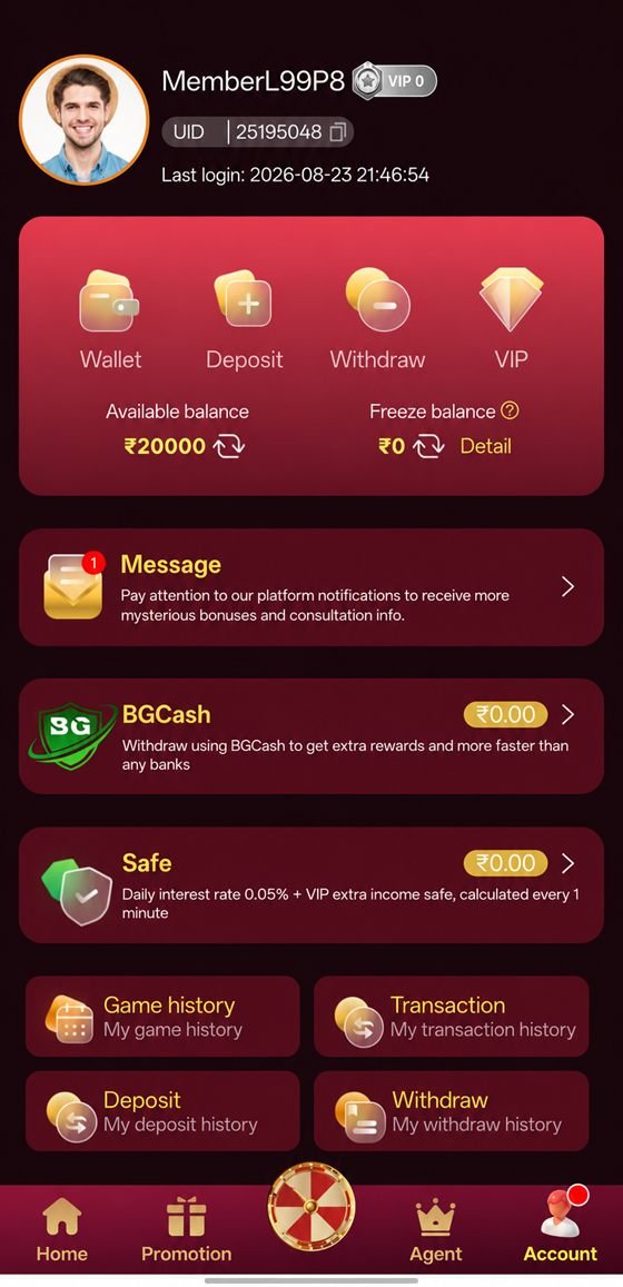 Paglu Game app screenshot 5 — wallet and transaction history