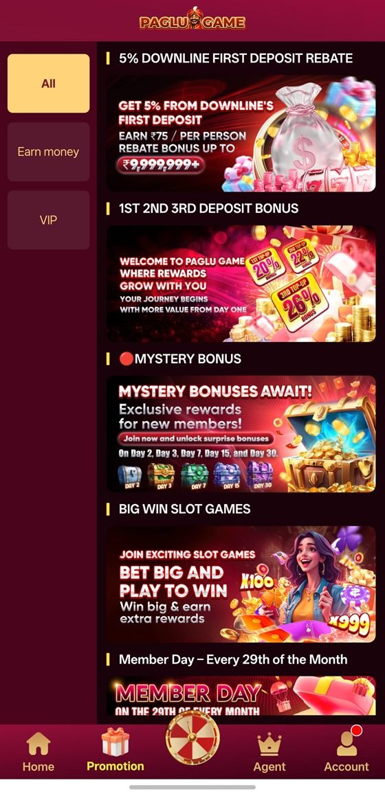 Paglu Game app screenshot 6 — VIP progress and rebates